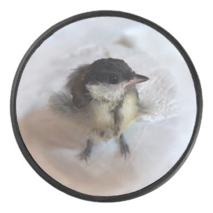 Tidi my Bird the Parus Major Hockey Puck