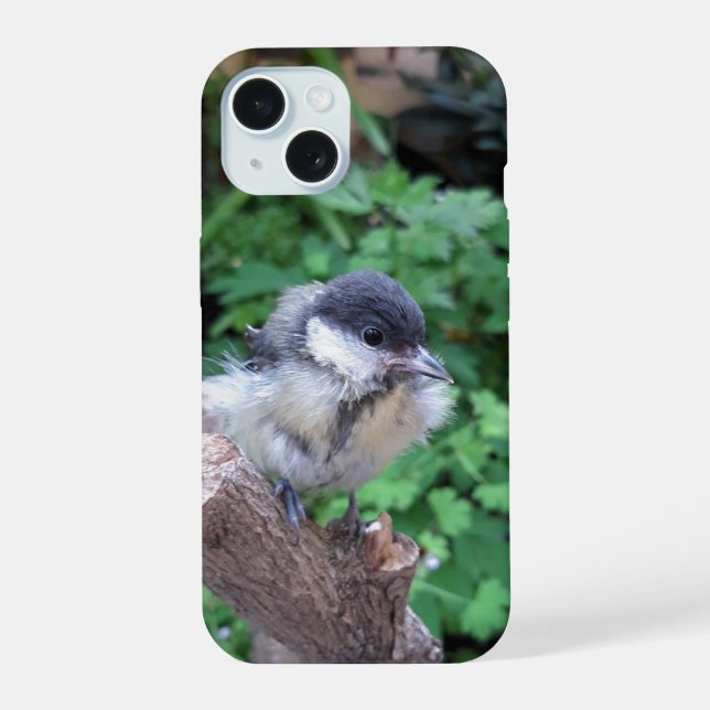 Tidi my Bird the Parus Major iPhone 15 Case (Back)