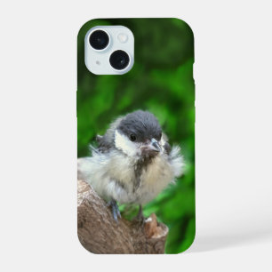 Tidi my Bird the Parus Major iPhone 15 Case