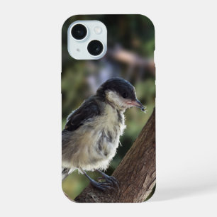 Tidi my Bird the Parus Major iPhone 15 Case