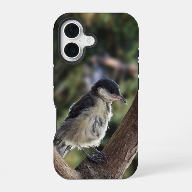 Tidi my Bird the Parus Major iPhone 16 Case (Back)