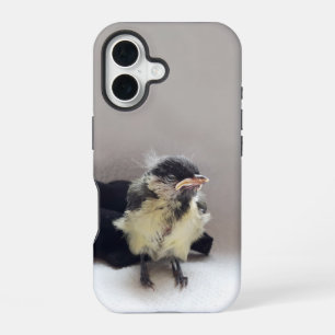 Tidi my Bird the Parus Major iPhone 16 Case