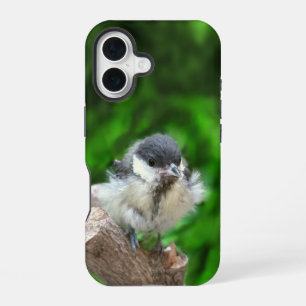 Tidi my Bird the Parus Major iPhone 16 Case