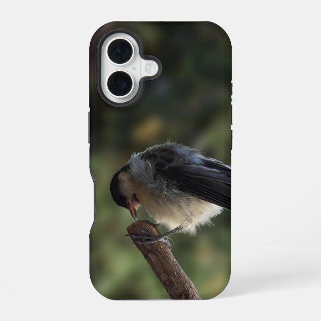 Tidi my Bird the Parus Major iPhone 16 Case (Back)