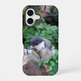 Tidi my Bird the Parus Major iPhone 16 Case