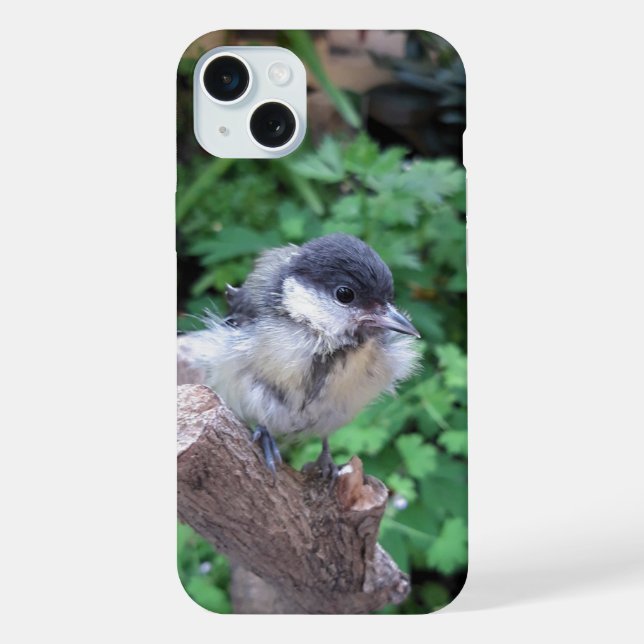Tidi my Bird the Parus Major iPhone Case (Back)