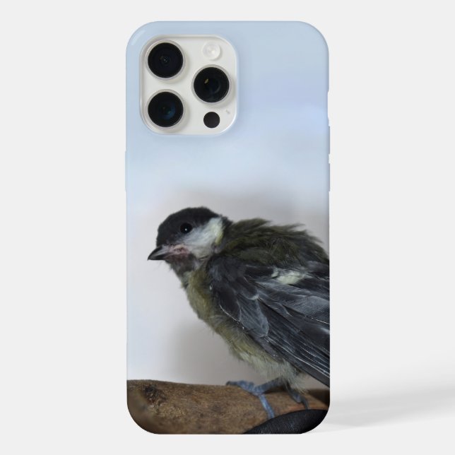 Tidi my Bird the Parus Major iPhone Case (Back)