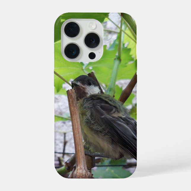 Tidi my Bird the Parus Major iPhone Case (Back)