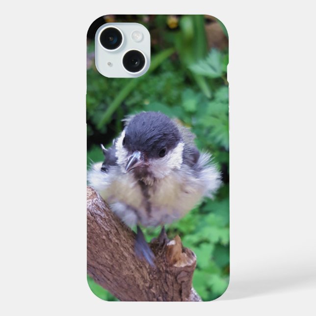 Tidi my Bird the Parus Major iPhone Case (Back)