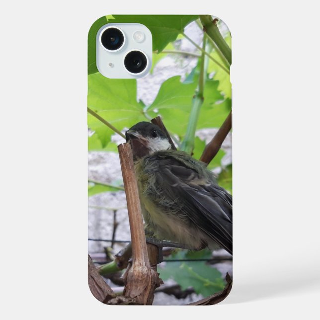 Tidi my Bird the Parus Major iPhone Case (Back)