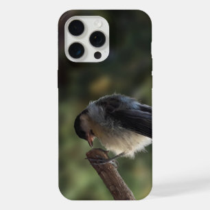 Tidi my Bird the Parus Major iPhone 15 Pro Max Case