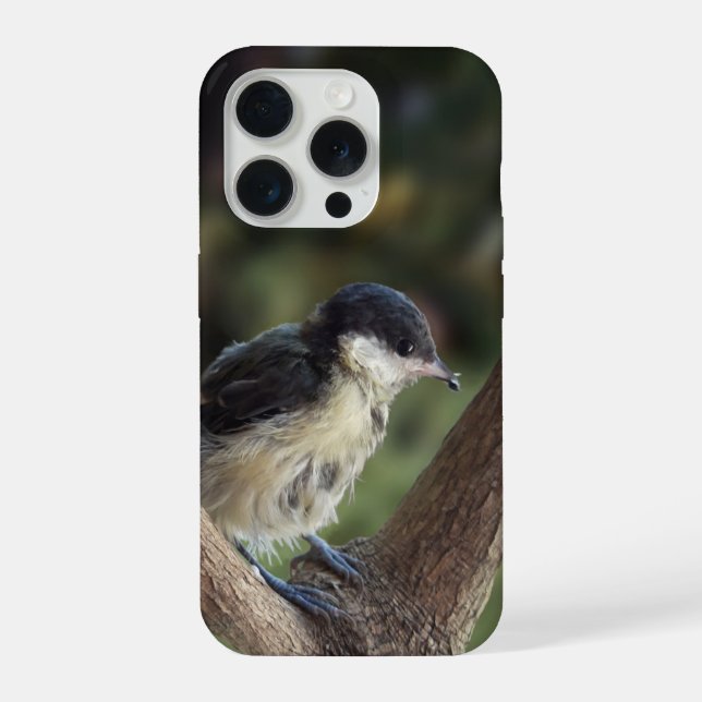 Tidi my Bird the Parus Major iPhone Case (Back)