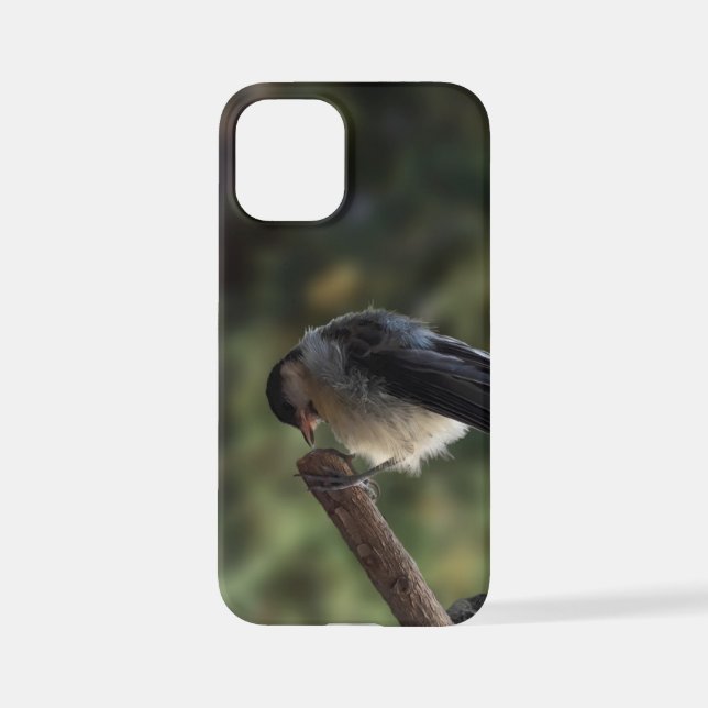 Tidi my Bird the Parus Major iPhone Case (Back)