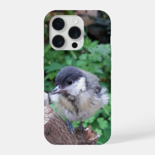 Tidi my Bird the Parus Major iPhone 15 Pro Case