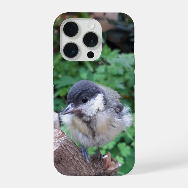 Tidi my Bird the Parus Major iPhone Case (Back)