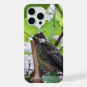 Tidi my Bird the Parus Major iPhone 15 Pro Max Case