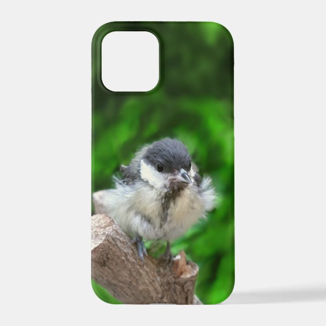Tidi my Bird the Parus Major iPhone Case (Back)