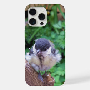 Tidi my Bird the Parus Major iPhone 15 Pro Max Case