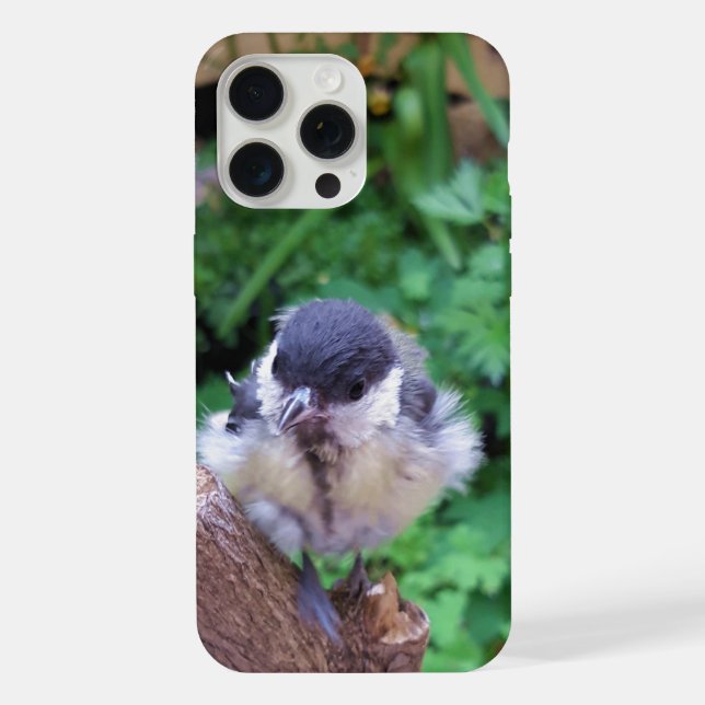 Tidi my Bird the Parus Major iPhone Case (Back)