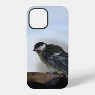 Tidi my Bird the Parus Major iPhone 12 Case