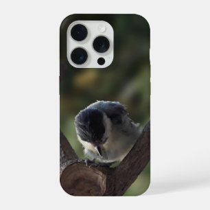 Tidi my Bird the Parus Major iPhone 15 Pro Case