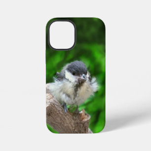 Tidi my Bird the Parus Major iPhone 12 Mini Case