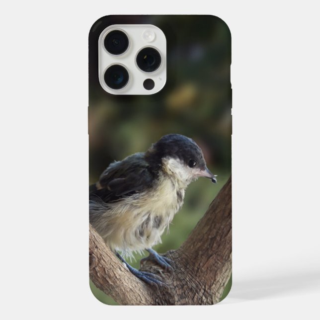 Tidi my Bird the Parus Major iPhone Case (Back)