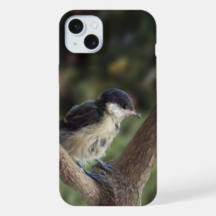 Tidi my Bird the Parus Major iPhone 15 Plus Case