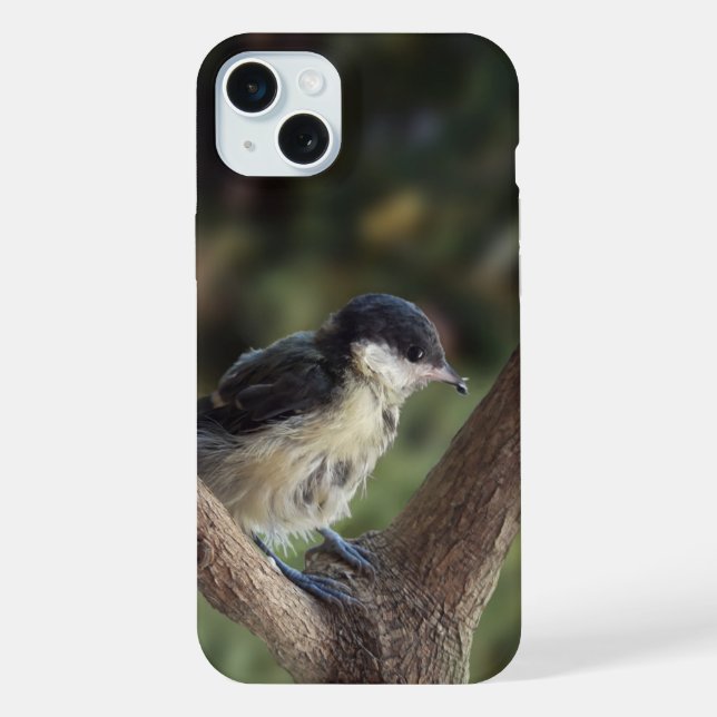 Tidi my Bird the Parus Major iPhone Case (Back)