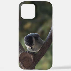 Tidi my Bird the Parus Major iPhone 12 Pro Max Case