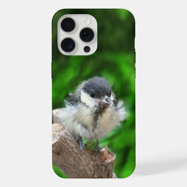Tidi my Bird the Parus Major iPhone Case (Back)