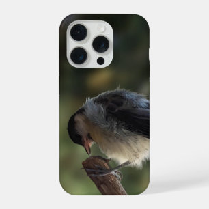 Tidi my Bird the Parus Major iPhone 15 Pro Case