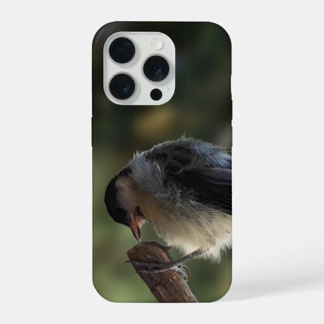 Tidi my Bird the Parus Major iPhone Case (Back)