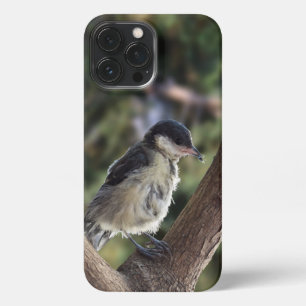 Tidi my Bird the Parus Major iPhone 13 Pro Max Case