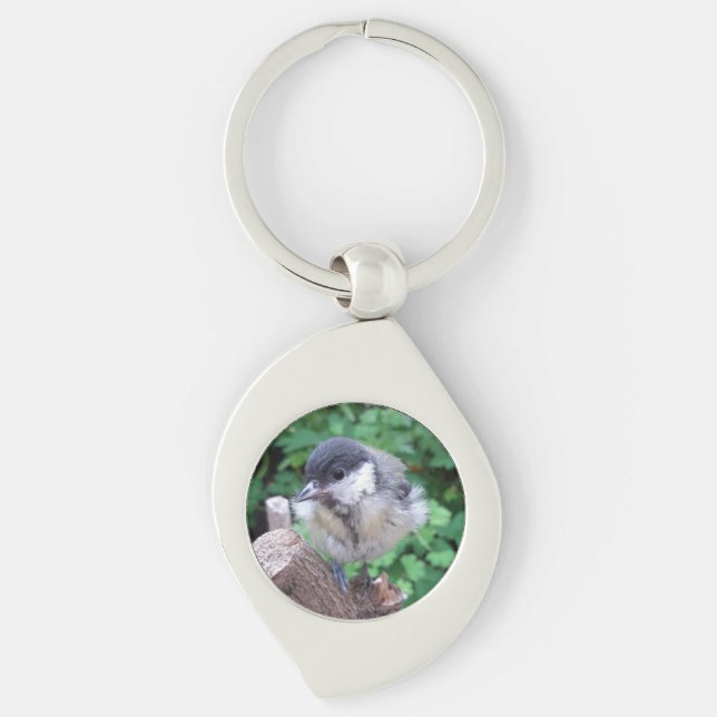 Tidi my Bird the Parus Major Key Ring (Front)