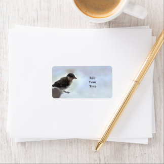 Tidi my Bird the Parus Major Label