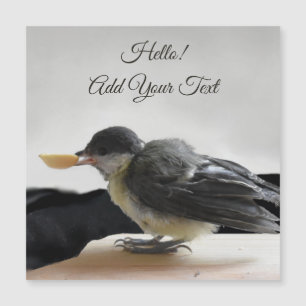 Tidi my Bird the Parus Major Magnetic Card