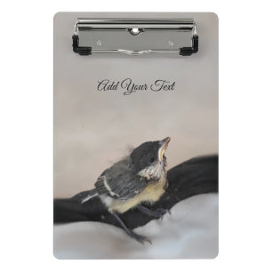 Tidi my Bird the Parus Major Mini Clipboard