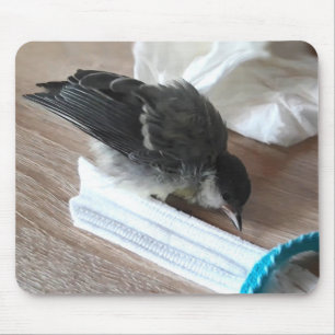 Tidi my Bird the Parus Major Mouse Pad