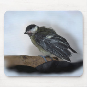 Tidi my Bird the Parus Major Mouse Pad