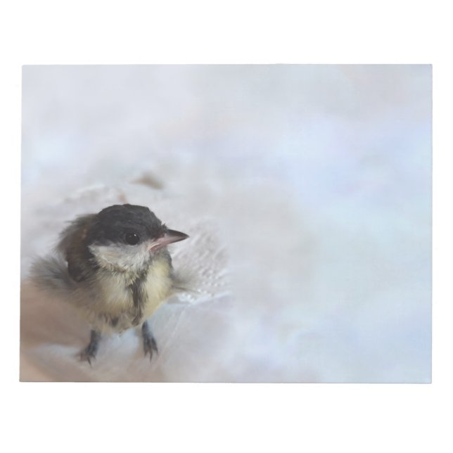Tidi my Bird the Parus Major Notepad (Front)