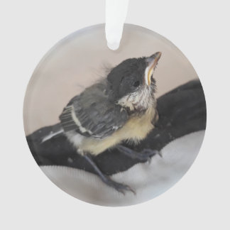 Tidi my Bird the Parus Major Ornament