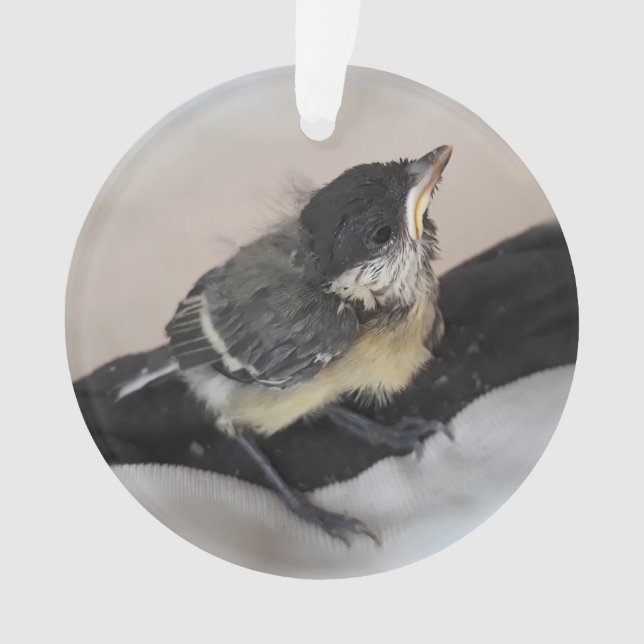 Tidi my Bird the Parus Major Ornament (Front)