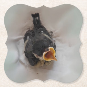 Tidi my Bird the Parus Major Paper Coaster