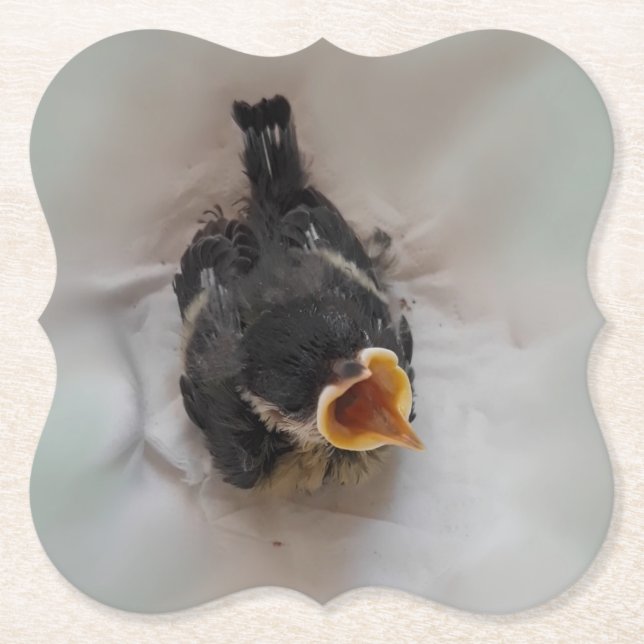 Tidi my Bird the Parus Major Paper Coaster (Front)