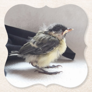 Tidi my Bird the Parus Major Paper Coaster