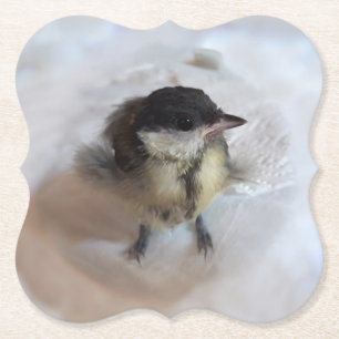 Tidi my Bird the Parus Major Paper Coaster