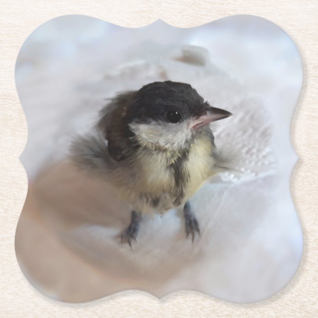 Tidi my Bird the Parus Major Paper Coaster (Front)