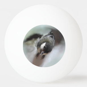 Tidi my Bird the Parus Major Ping Pong Ball