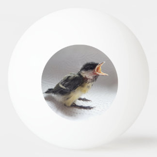 Tidi my Bird the Parus Major Ping Pong Ball